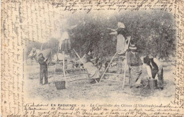 METIERS - Paysans - En Provence - La Cueillette Des Olives ( L'Oulivado ) - Carte Postale Ancienne - Farmers