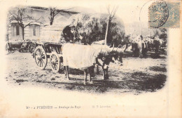 FOLKLORE - Pyrénées - Attelage Du Pays - Edit : D.T. Lourdes - Carte Postale Ancienne - Otros & Sin Clasificación