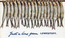 JUST A LINE FROM LOWESTOFT OLD COLOUR POSTCARD TUCK OILETTE 9373 SUFFOLK - Lowestoft