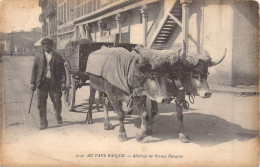 FOLKLORE - Au Pays Basque - Attelage De Bœufs Basques  - Carte Postale Ancienne - Autres & Non Classés