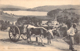 FRANCE - 63 - Clermont-Ferrand - Lac D'Aydat - Vaches - Carte Postale Ancienne - Clermont Ferrand