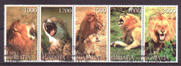 Buriatia - Siberia Local Post Vignette Animals Nature Lions Used - Sibirien Und Fernost