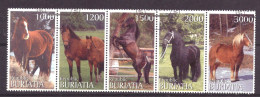 Buriatia - Siberia Local Post Vignette Animals Nature Horses Used - Siberia Y Extremo Oriente