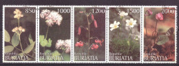 Buriatia - Siberia Local Post Vignette Nature Flowers Used - Siberië En Het Verre Oosten