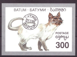 Batum Local Post Vignette Nature Animals Cats Used - Georgien