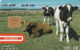 DENMARK - Cows, Animals Protection, Danmont Telecard 100 Kr., Tirage 1200, Exp.date 11/98, Used - Cows