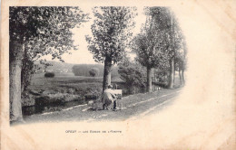 FRANCE - 91 - ORSAY - Les Bords De L'Yvette - Carte Postale Animée - Orsay