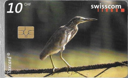 CARTE-PUCE-SUISSE-10CHF-HERON De MANGROVE-TBE - Adler & Greifvögel