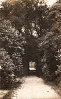 Manchester - Carte Photo - Heaton Park - Une Allée - England - Royaume Uni - Manchester