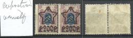 RUSSIA Russland 1923 Michel 207 A As Pair MNH With Perforation Variety Abart. NB! 1 Stamp Has A Corner Fold! - Unused Stamps