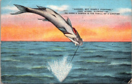 Florida Fort Myers Tarpon Fishing Hooked But Gamelly Fighting 1941 - Fort Myers