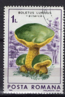 S1482 - ROMANIA ROUMANIE Yv N°3697 - Gebraucht