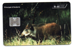 Sanglier Bovid Animal  Télécarte Andorre AND 58 Phonecard ( M 473) - Andorra