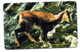 CHAMOIS Bovid Animal  Télécarte Andorre AND 57 Phonecard ( M 474) - Andorra