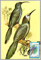 PHOENICULUS BOLLEI - Abubilla Arbórea Cabeciblanca - White-headed Wood Hoopoe. Cluj Napoca 1992 - Mechanical Postmarks (Advertisement)