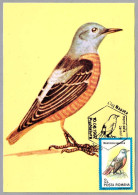 MONTICOLA SAXATILIS - Roquero Rojo - Common Rock Thrush. Cluj Napoca 1992 - Annullamenti & A. Meccaniche (pubblicitarie)