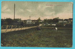 * Rhenen (Utrecht - Nederland) * (KLEUR) Veerweg, Vue Générale, Panorama, Vache, Koe, Cow, Unique, TOP - Rhenen