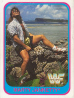 21/150 MARTY JANNETTY - WRESTLING WF 1991 MERLIN TRADING CARD - Trading-Karten