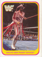 29/150 MACHO MAN RANDY SAVAGE - WRESTLING WF 1991 MERLIN TRADING CARD - Tarjetas