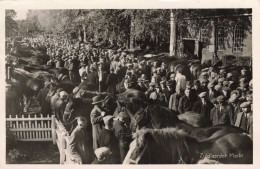 Zuidlaren Paardenmarkt 1912 - Zuidlaren