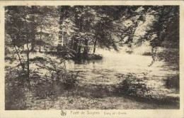 Forët De SOIGNES - Etang De L'Ermite - Auderghem - Oudergem