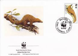 WWF - 141,23 - FDC - € 1,35 - 5-4-1993 - D2 - Long-tailed Pangolin - Gambia - Autres & Non Classés