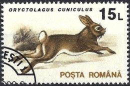 Romania 1993 - Mi 4902X - YT 4095 ( Fauna : Rabbit ) - Conejos