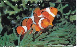TARJETA DE JAPON DE UN PEZ PAYASO (FISH-PEZ-POISSON) - Fische