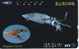 TARJETA DE JAPON DE UN CALAMAR  (FISH-PEZ-POISSON) - Peces