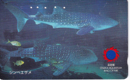 TARJETA DE JAPON DE UN TIBURON (SHARK)  (FISH-PEZ-POISSON) - Fische