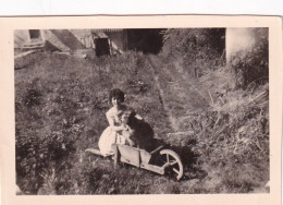 LAFRANCAISE  - Petite Photo D'une Jeune Fille Avec Un Chien Dans Une Brouette En 1960 - Lafrancaise