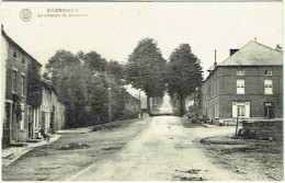 Silenrieux. Chemin De Daussois. - Cerfontaine