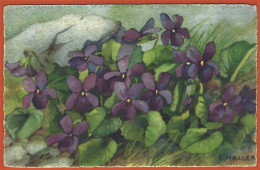 Fleurs ( Violettes ) Peinture Signée De Anna Haller - CPA Non-Utilisée - Haller, A.