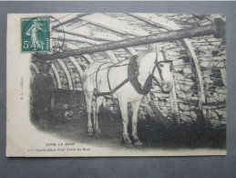 CPA 62 Pas De Calais Dans La Mine Conducteur De Train De Bois  - Cheval Dans La Galerie Avec Un Mineur Posté HARNES 1909 - Harnes