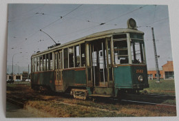 1982 Cartolina TORINO+TRANVIA +MOTRICE 2592 "PETER WITT"+nuova-B228 - Trasporti