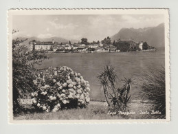 LAGO  MAGGIORE (NO):  ISOLA  BELLA  -  PER  LA  SVIZZERA  -  FOTO  -  FG - Châteaux D'eau & éoliennes