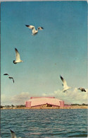 Florida Sarasota Sea Gulls Over Sarasota Bay Showing Van Wexel Hall Theater For The Performing Arts 1972 - Sarasota