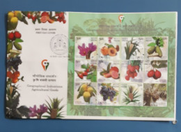 India 2023 GI Fruits Series Grapes Agriculture Mango Gastronomy SS First Day Cover FDC New Delhi Cancelled As Per Scan - Agriculture