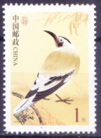 China 2002 Used, Biddulph's Ground-jay, Birds - Cuckoos & Turacos