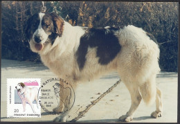 Andorre 1988-Andorre-Espagne- Yvert Nr.: 192 Sur Carte Maximum Photo. Theme: Chien ........ (VG) DC-11551 - Usati