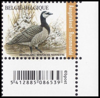 4912** - Bernache Nonnette / Brandgans / Nonnengans / Barnacle Goose - Recommandé / Aantekenport - BUZIN - BELGIQUE - Geese