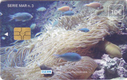 Spain Phonecard Chip - - - Isern Medical, Marine Life - Sonstige & Ohne Zuordnung