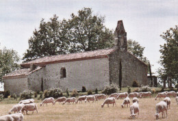 St Paul Cap De Joux   Eglise Ste Cecile De Plane Sylve - Saint Paul Cap De Joux