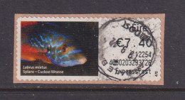 IRELAND  -  2011 Cuckoo Wrasse SOAR (Stamp On A Roll)  Used On Piece As Scan - Usati