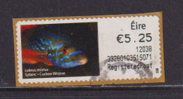 IRELAND  -  2011 Cuckoo Wrasse SOAR (Stamp On A Roll)  Used On Piece As Scan - Used Stamps