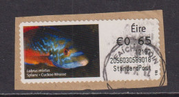 IRELAND  -  2011 Cuckoo Wrasse SOAR (Stamp On A Roll)  Used On Piece As Scan - Oblitérés