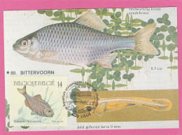 Carte Maximum - Belgique - 1990 - Poisson - Bouviere - 1981-1990