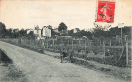 Crosne * Crosnes * La Rue Des Vignes - Crosnes (Crosne)