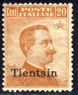 1917-18 - Francobolli D'Italia Soprastampati "Tientsin" - Michetti (109) 20 C. Nuovo Con Gomma Integra MNH - Tientsin