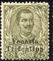 1918 - Floreale 45 C. Soprastampato Venezia Tridentina Con Leggero Annullo - Trento